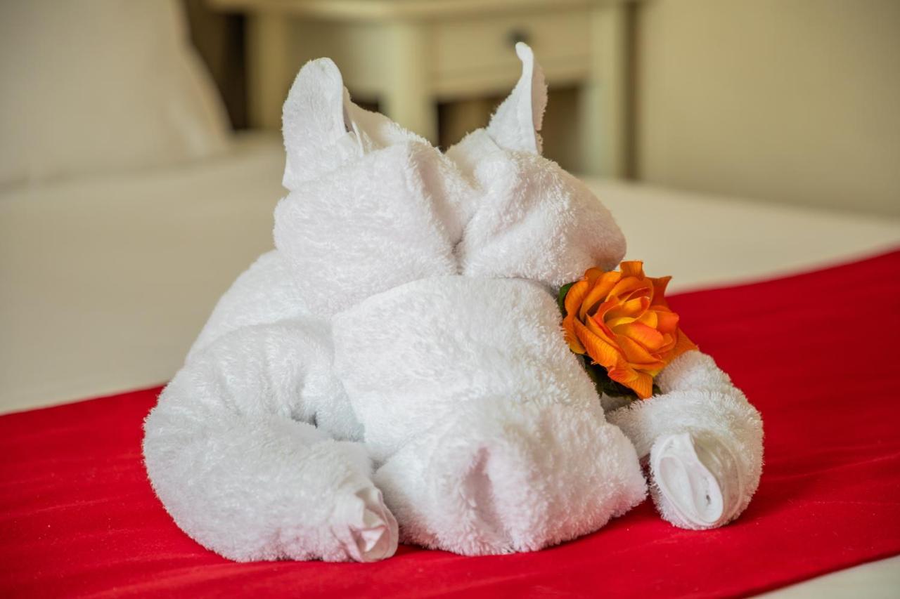 Auberge De Kerveoc'H 두아르느네 외부 사진